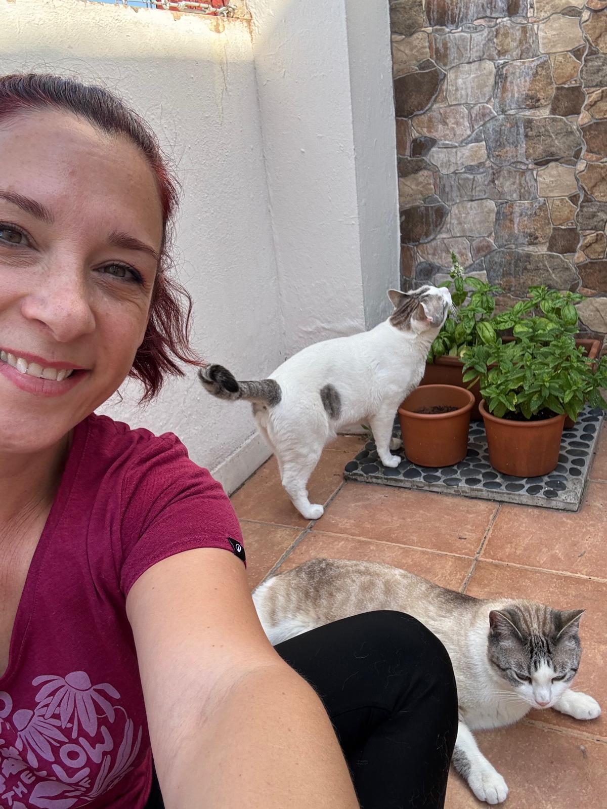 Beni y Camús, dos gatitos cuidados con visitas a domicilio en Valencia